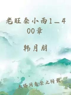 老旺秦小雨1—400章